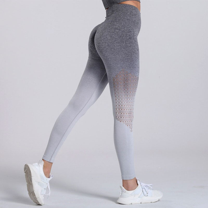 Gemz Gradient Yoga Pants Women Fitness Gym Leggings Sports High Waist Push Up Tights Workout Running Legging Hollow Pants