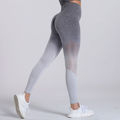 Gemz Gradient Yoga Pants Women Fitness Gym Leggings Sports High Waist Push Up Tights Workout Running Legging Hollow Pants